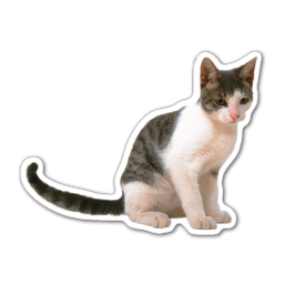 Cat Thin Stock Magnet
GM-MMC3490