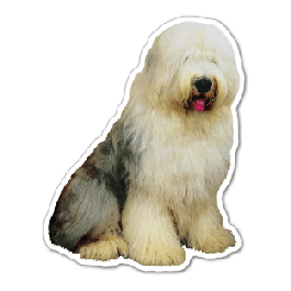 Dog 7 Thin Stock Magnet
GM-MMD3494