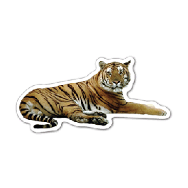Tiger Thin Stock Magnet
GM-MMD3501